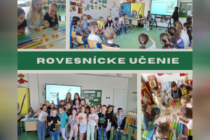Rovesnícke učenie