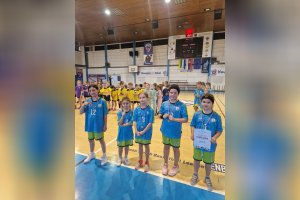 Minibasketbal