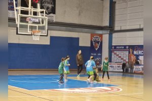 Minibasketbal