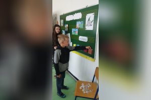 Rovesnícke učenie