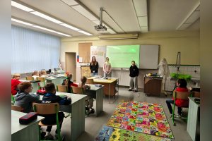 Rovesnícke vzdelávanie