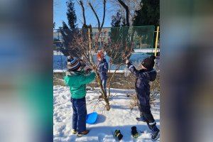 Starostlivosť o vtáčiky