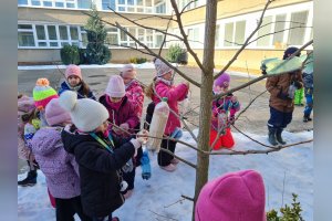 Starostlivosť o vtáčiky