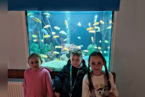 Zážitkové učenie v 1.A