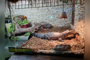 Zážitkové učenie v 1.A