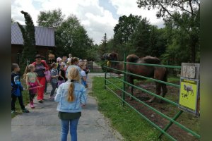 Návšteva ZOO